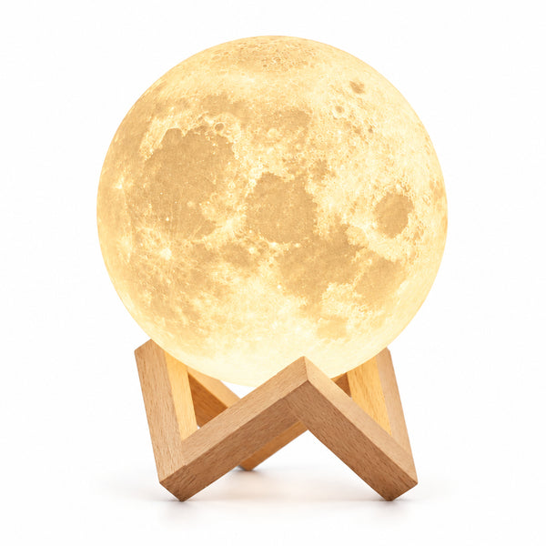 White Wood and ABS Table Lamp