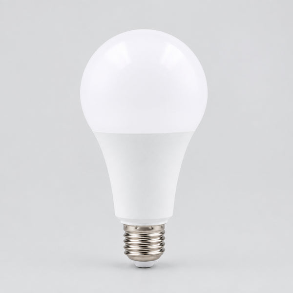 E27 LED Globe Bulb 3W–18W Warm & Cool White
