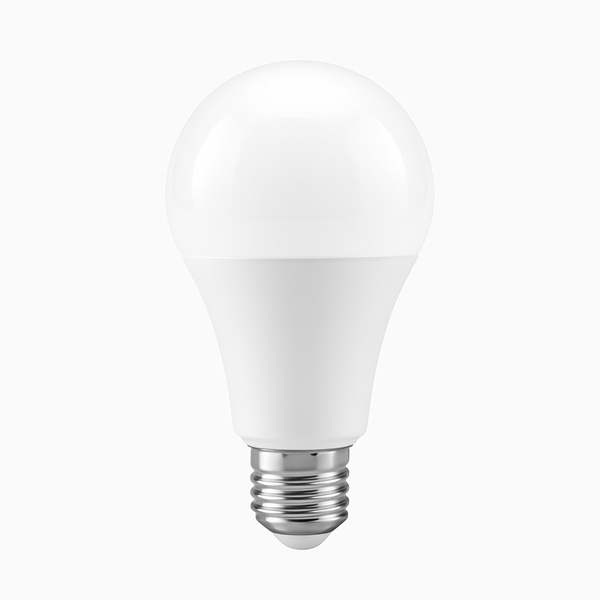 E27 Globe LED Bulb 3W–20W Warm & Cool White