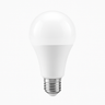 E27 Globe LED Bulb 3W–20W Warm & Cool White
