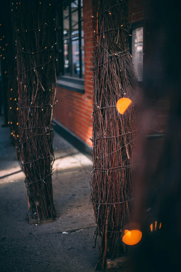 Solar String Lights, IP44, 8 Modes, Dusk Sensor, 8 Colours