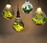 Garden Globe Pendant Light Metal Glass E27 Small or Large