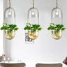 Pendant Light with Planter Iron Glass E27 IP44